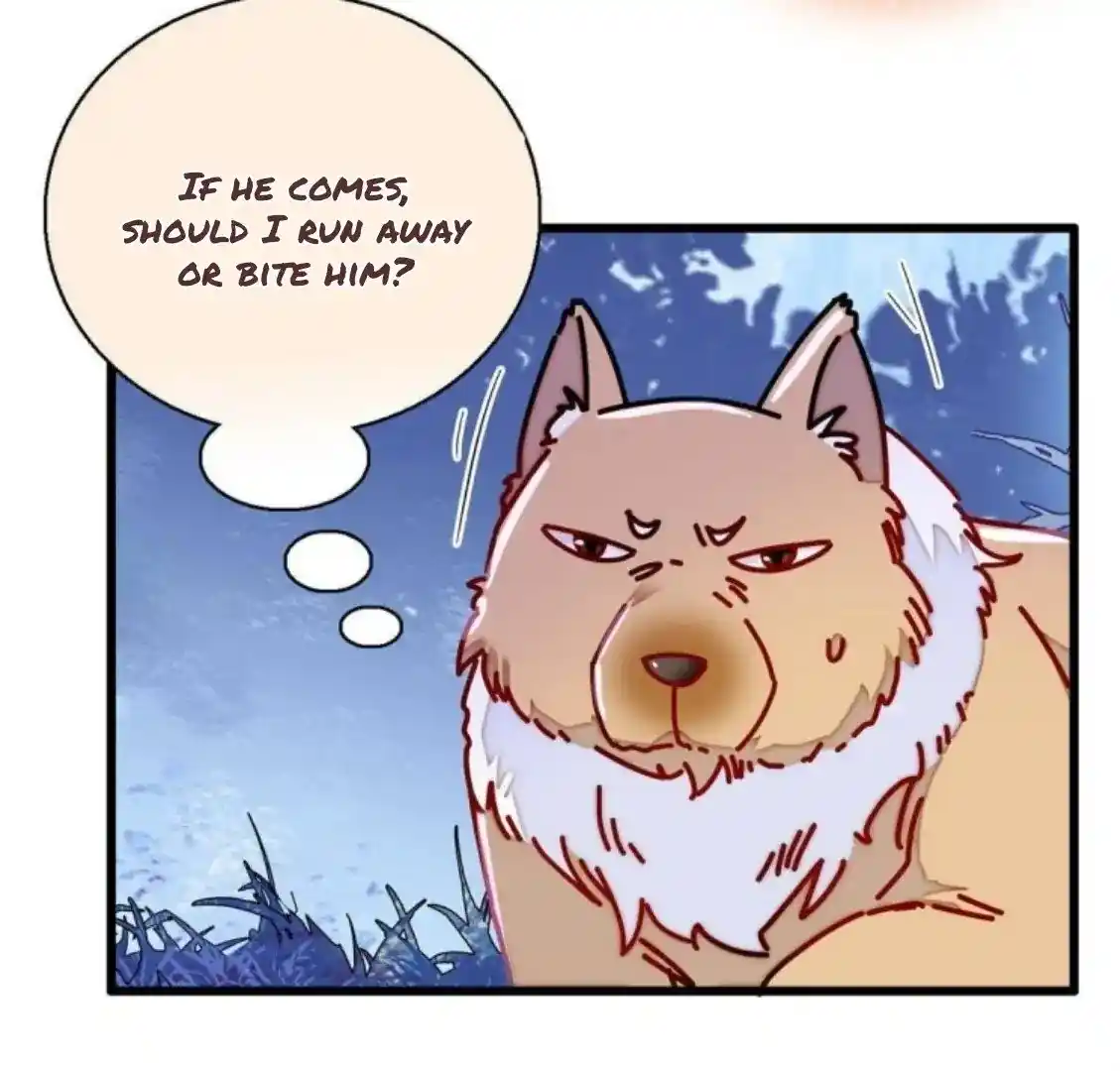 The Brocaded Tale Of The Girl Si Chapter 234