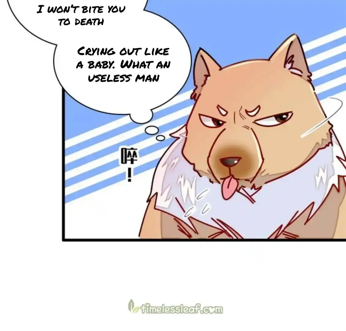 The Brocaded Tale Of The Girl Si Chapter 237