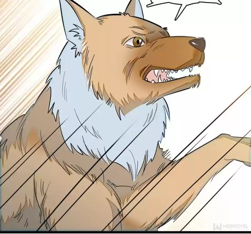 The Brocaded Tale Of The Girl Si Chapter 35