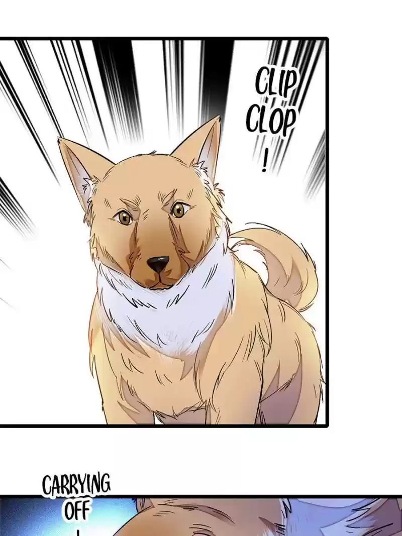 The Brocaded Tale Of The Girl Si Chapter 36