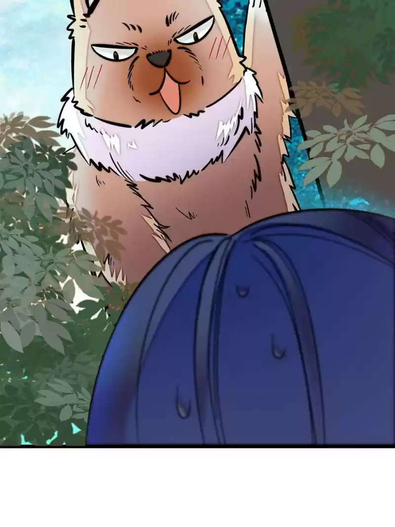 The Brocaded Tale Of The Girl Si Chapter 46