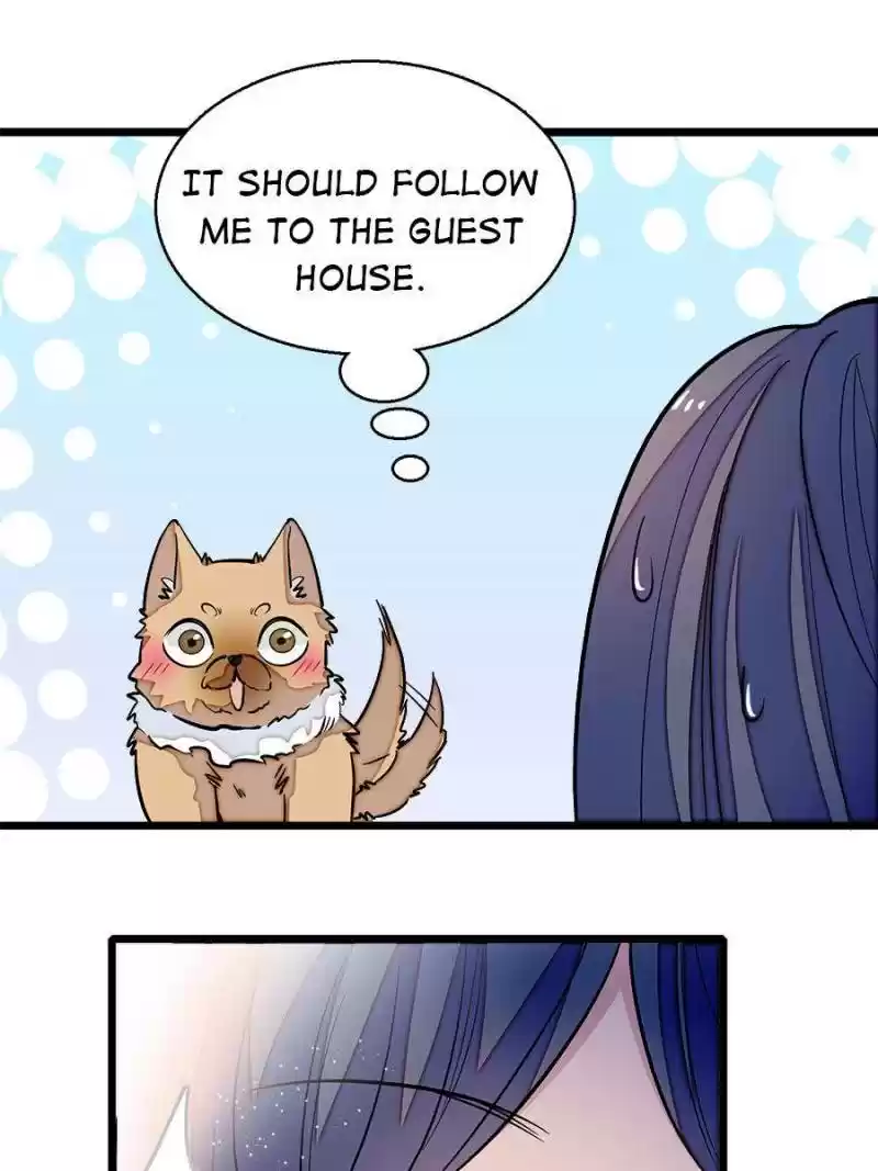 The Brocaded Tale Of The Girl Si Chapter 47