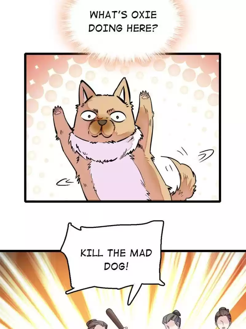 The Brocaded Tale Of The Girl Si Chapter 49