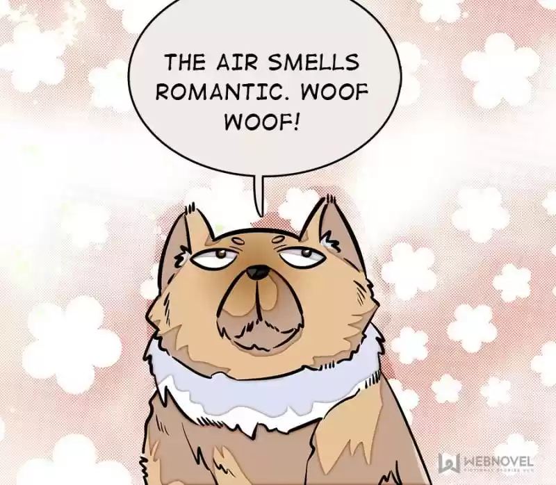 The Brocaded Tale Of The Girl Si Chapter 51