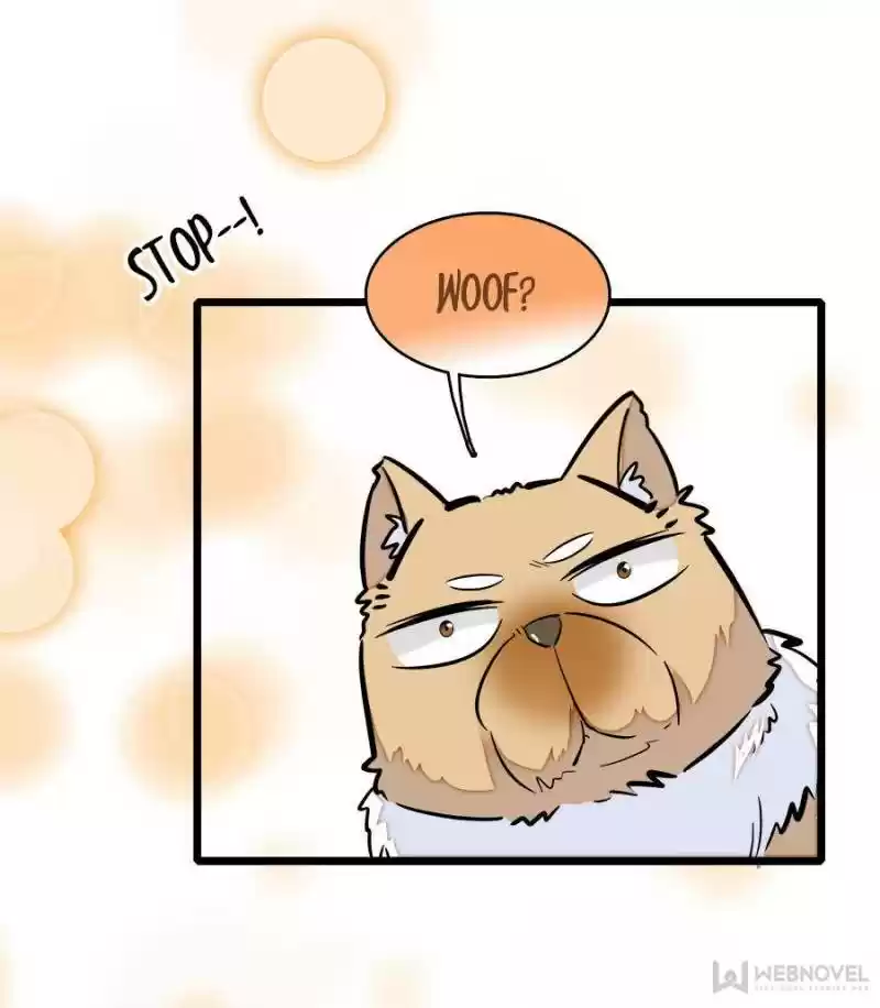 The Brocaded Tale Of The Girl Si Chapter 74