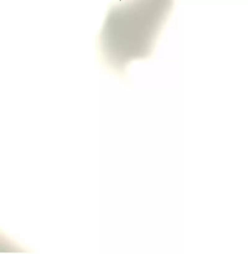 The Crazy Adventures of Mystical Doctor Ch.21