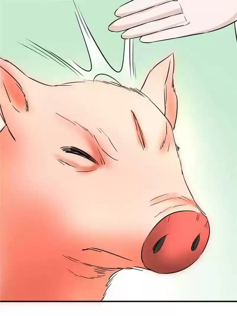 The Crazy Adventures of Mystical Doctor Chapter 101