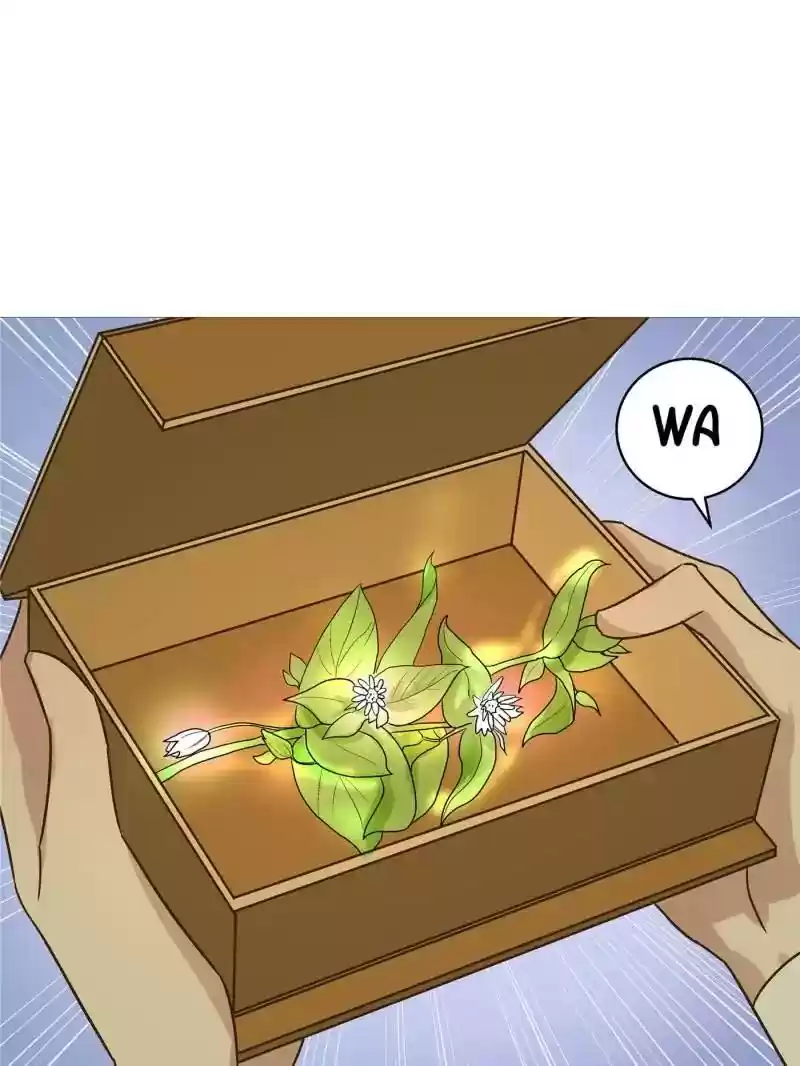 The Crazy Adventures of Mystical Doctor Chapter 49