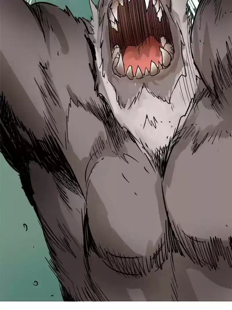 The Crazy Adventures of Mystical Doctor Chapter 55