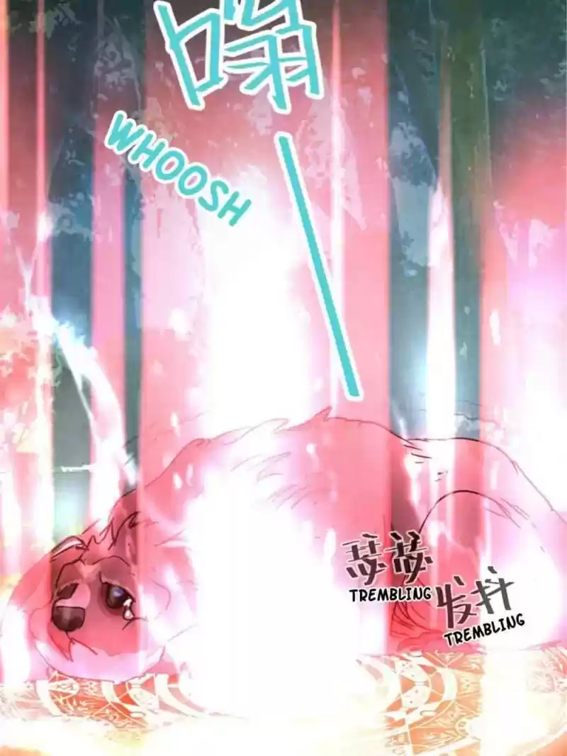 The Crazy Adventures of Mystical Doctor Chapter 69