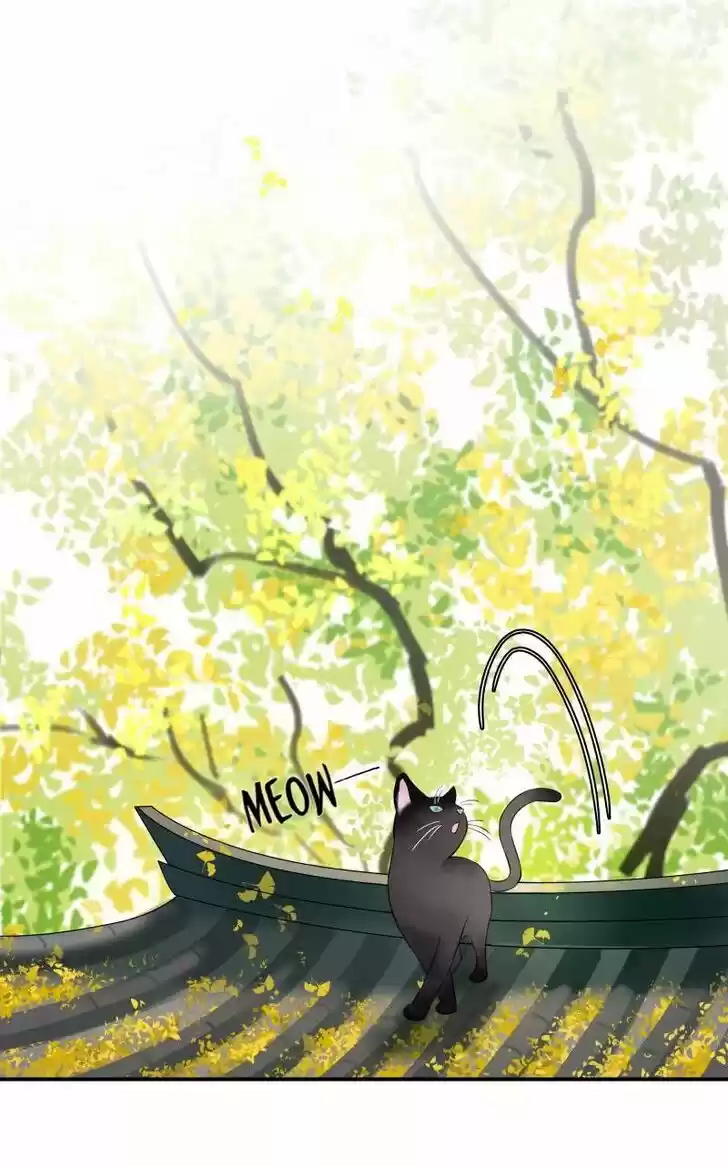 The Crown Prince Lost His Mind Ch.037