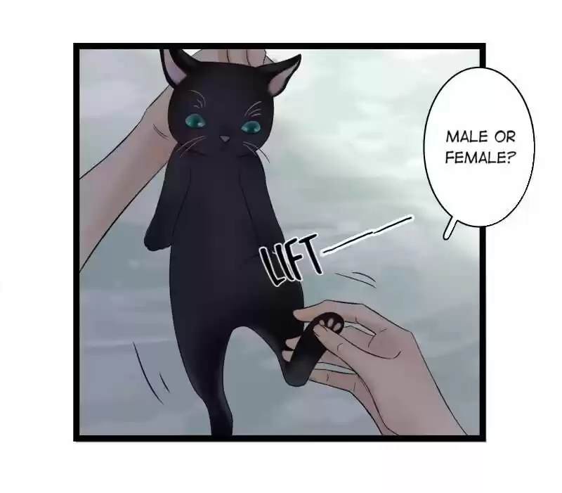 The Crown Prince Lost His Mind Ch.037