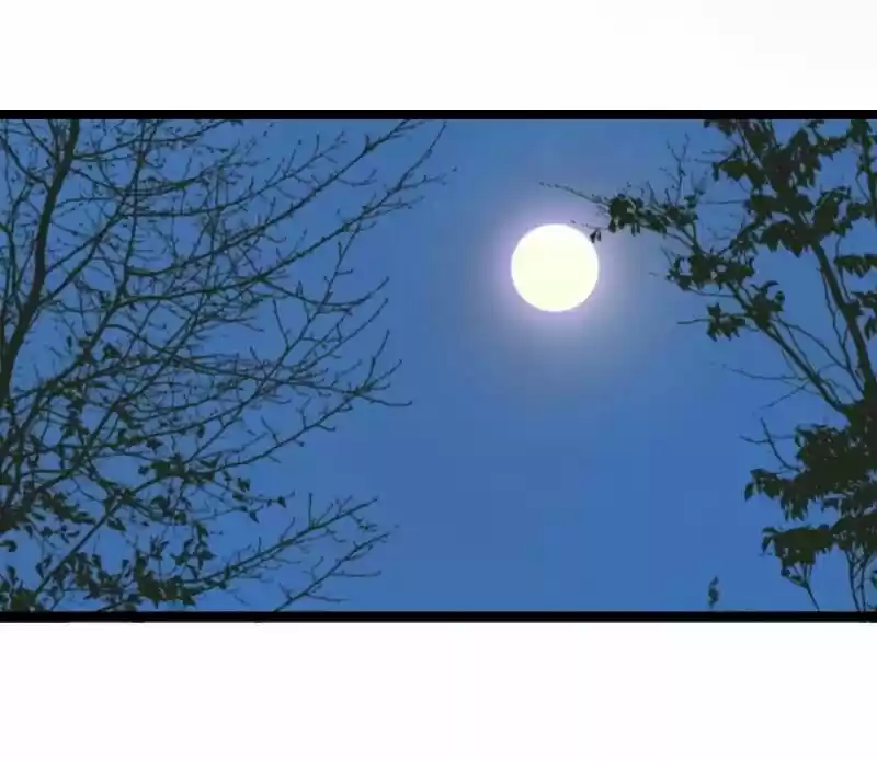 The Crown Prince Lost His Mind Ch.047