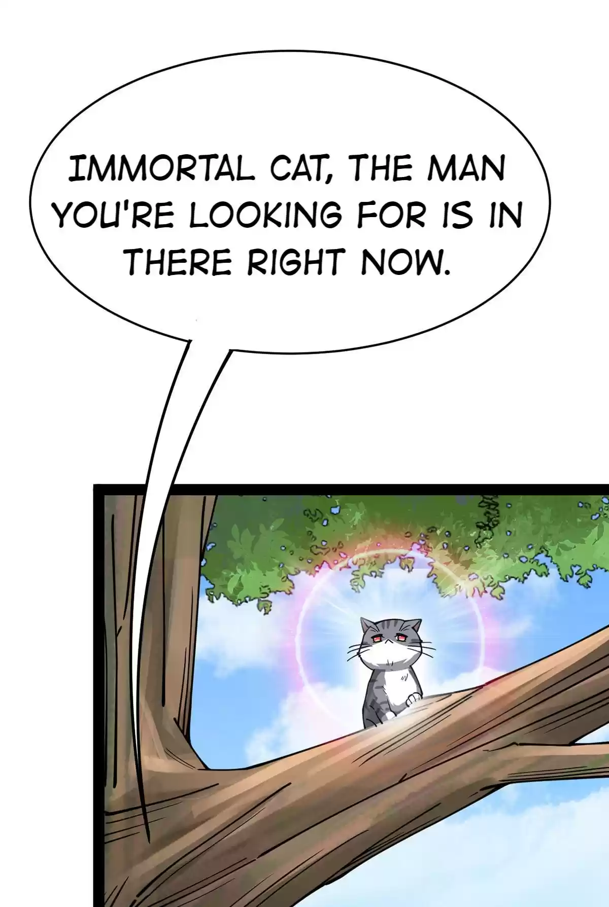 The Daily Life of Immortal King 36 What Are You Exactly Up To