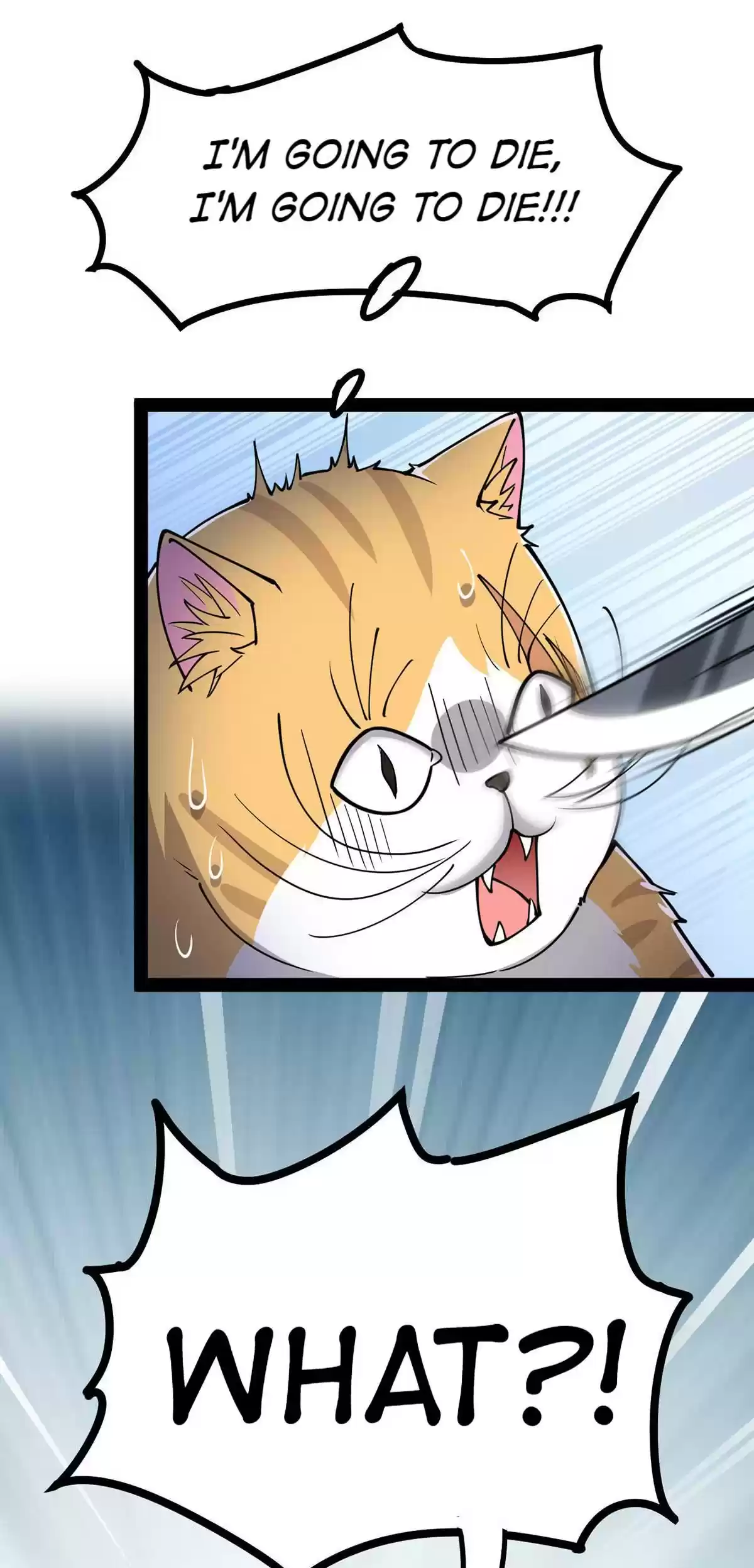 The Daily Life of Immortal King 37 Here Comes Immortal Cat!