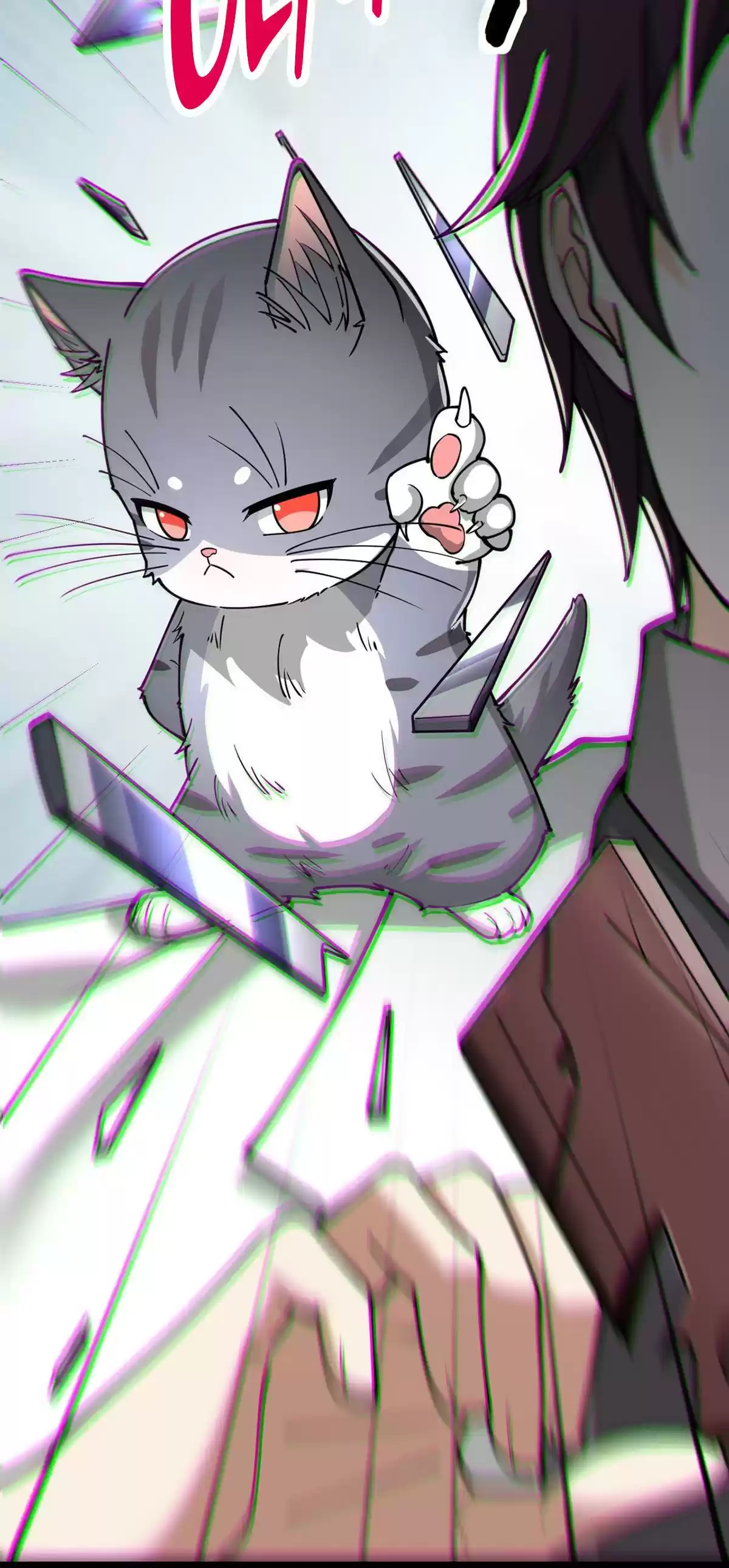 The Daily Life of Immortal King 37 Here Comes Immortal Cat!