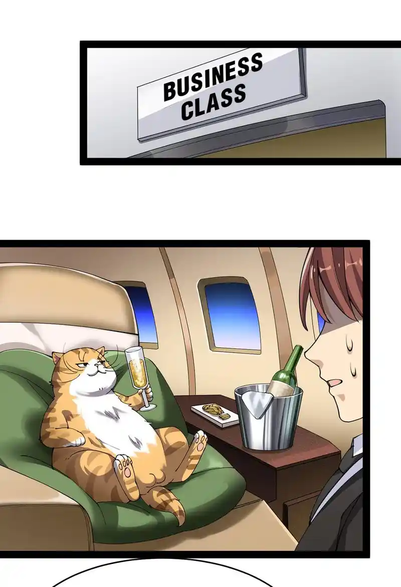 The Daily Life of the Immortal King Chapter 74