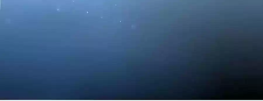 The Deserted Woman Chapter 25