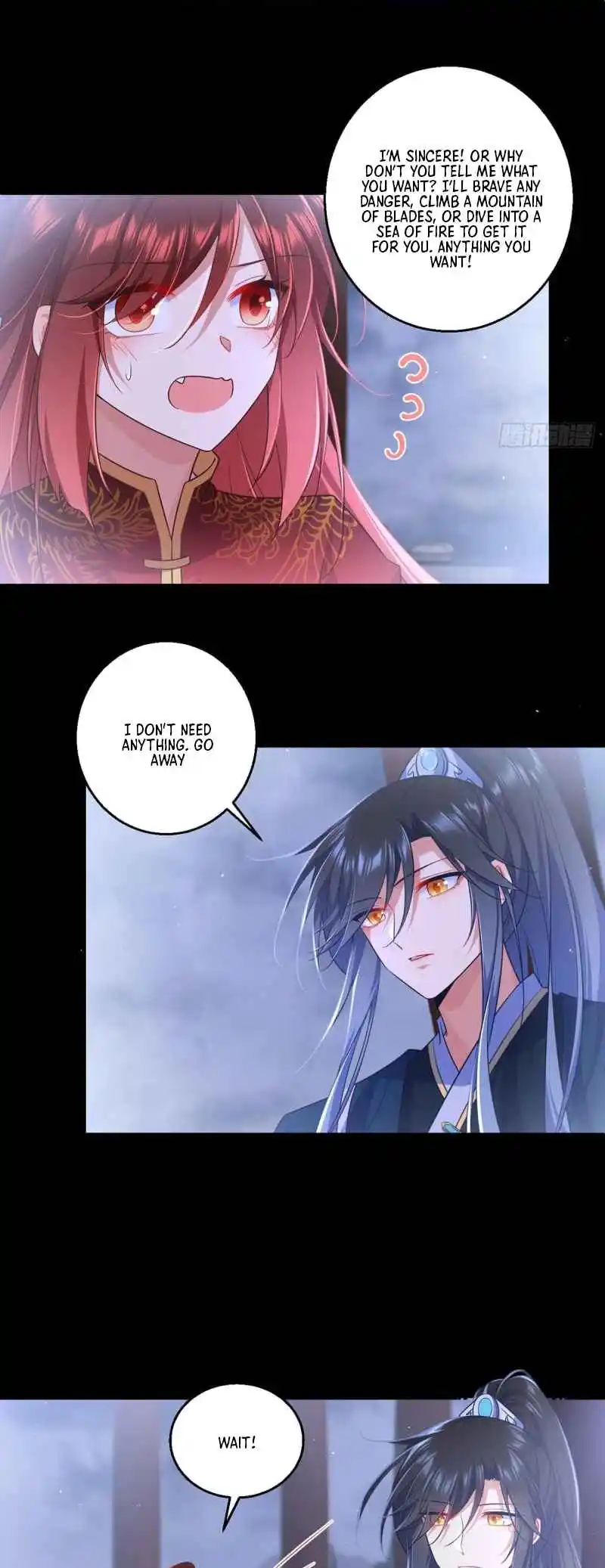 The Distinguished Cute Master 333