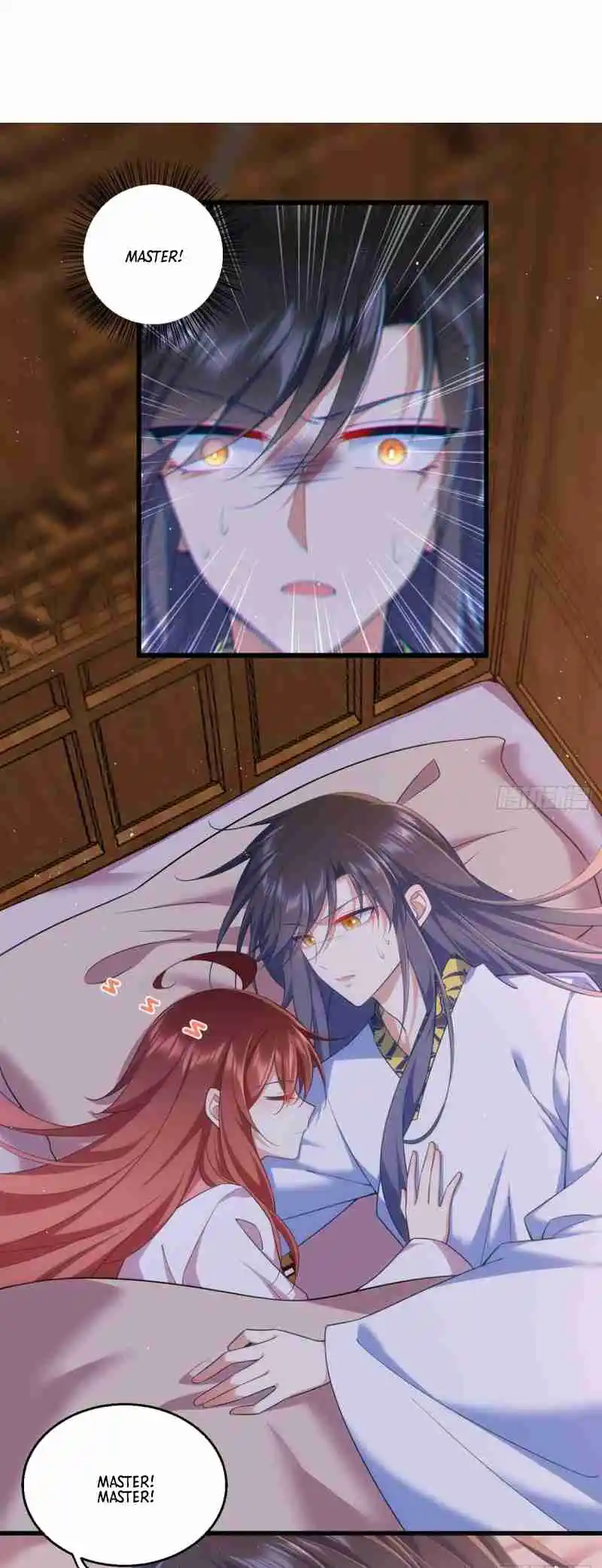 The Distinguished Cute Master 335