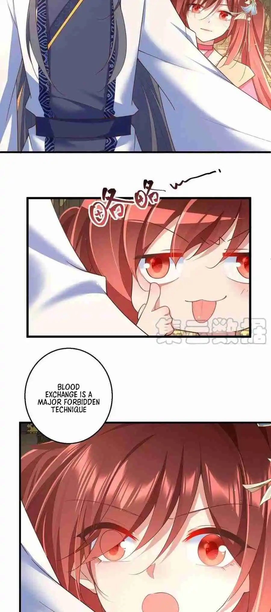 The Distinguished Cute Master 339