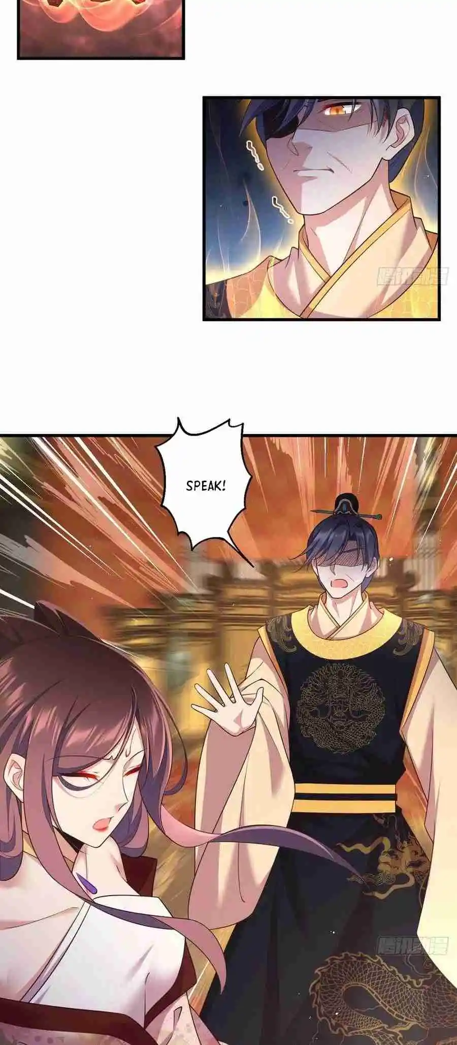 The Distinguished Cute Master 340