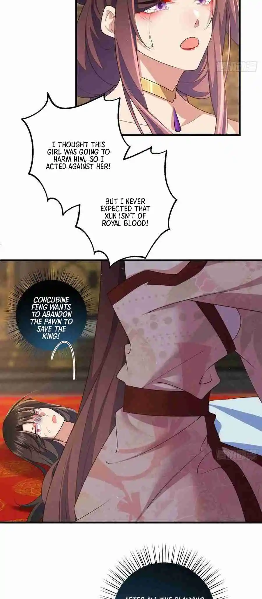 The Distinguished Cute Master 340