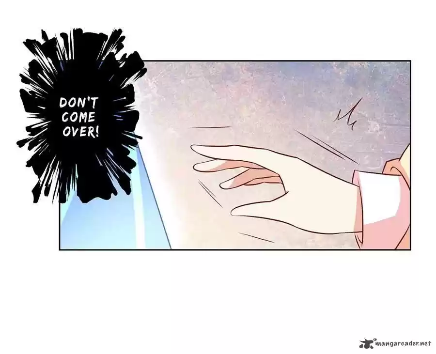 The Distinguished Cute Master 40