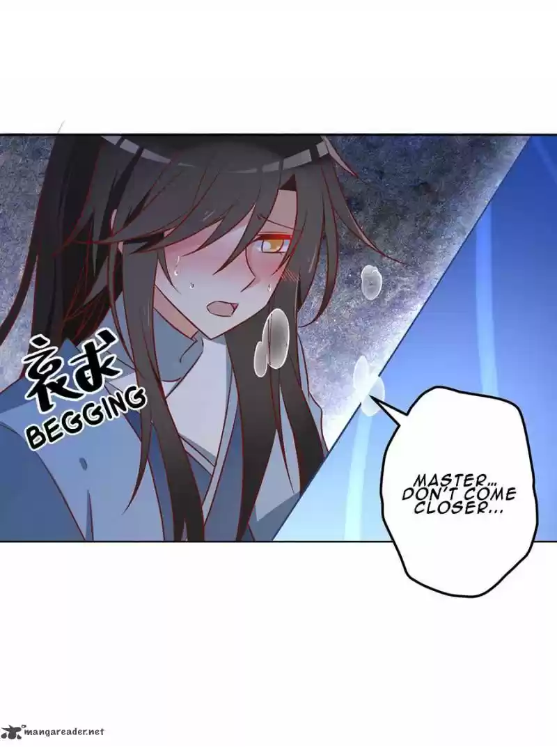 The Distinguished Cute Master 40