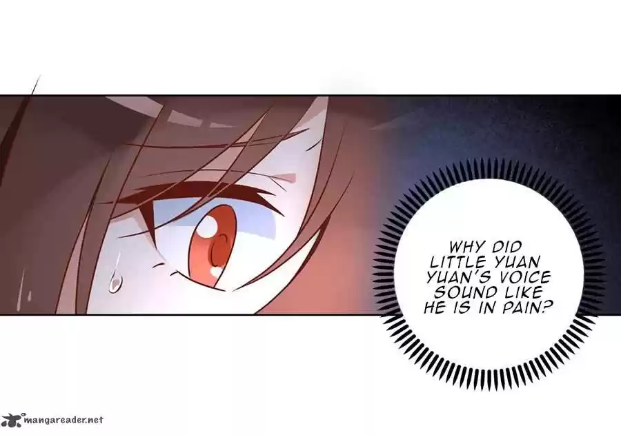 The Distinguished Cute Master 40