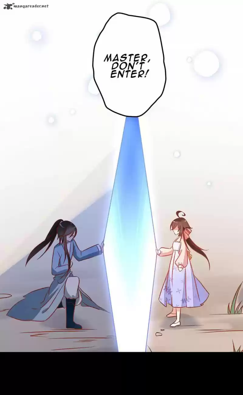 The Distinguished Cute Master 40