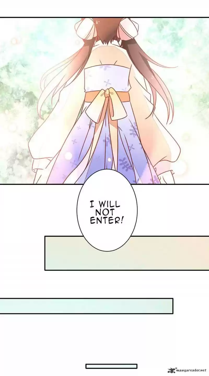 The Distinguished Cute Master 40