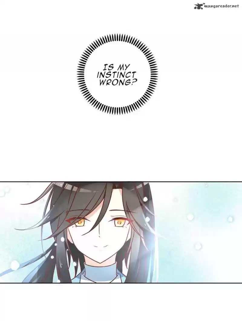 The Distinguished Cute Master 40