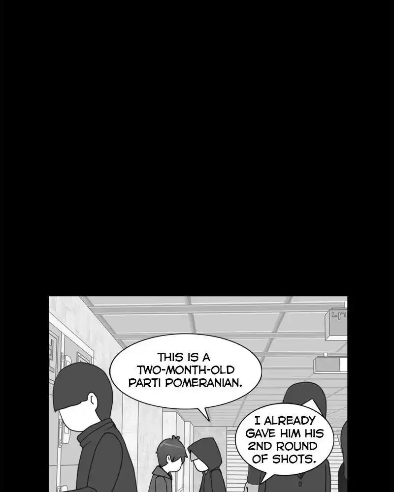 The Dog Diaries Chapter 0