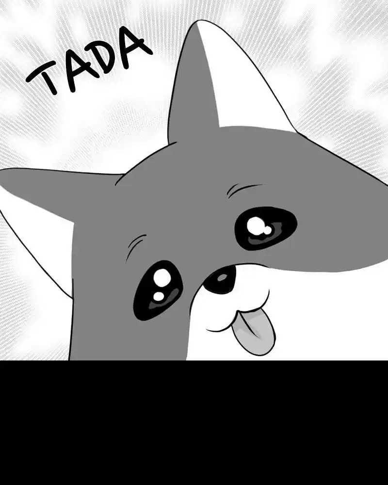 The Dog Diaries Chapter 0