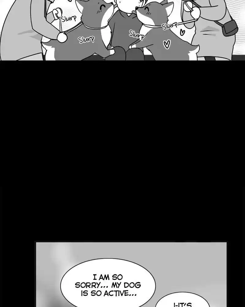 The Dog Diaries Chapter 0