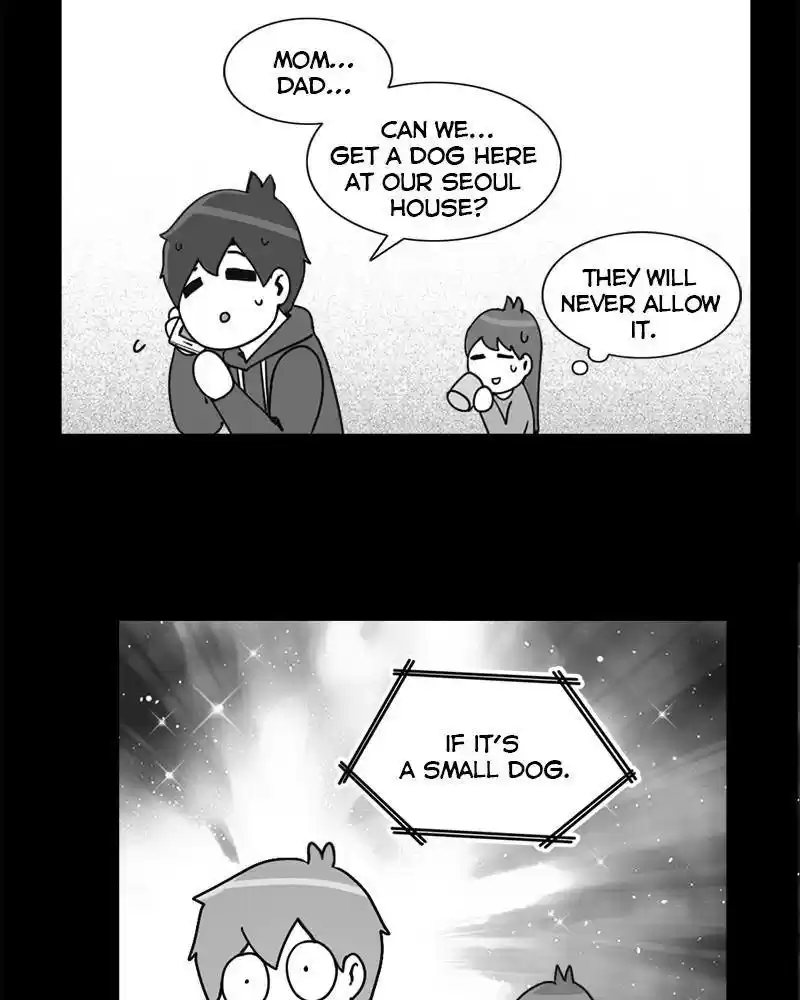 The Dog Diaries Chapter 0