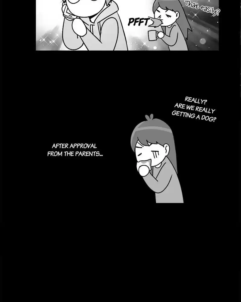 The Dog Diaries Chapter 0