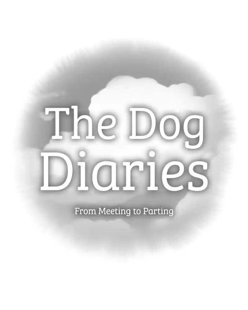 The Dog Diaries Chapter 0