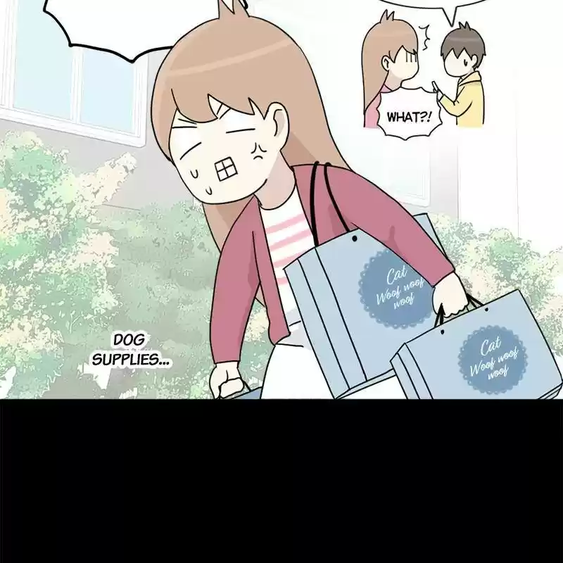 The Dog Diaries Chapter 1