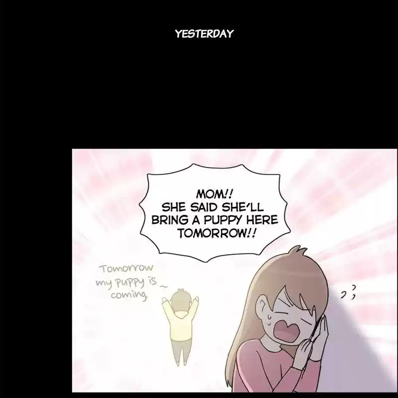 The Dog Diaries Chapter 1