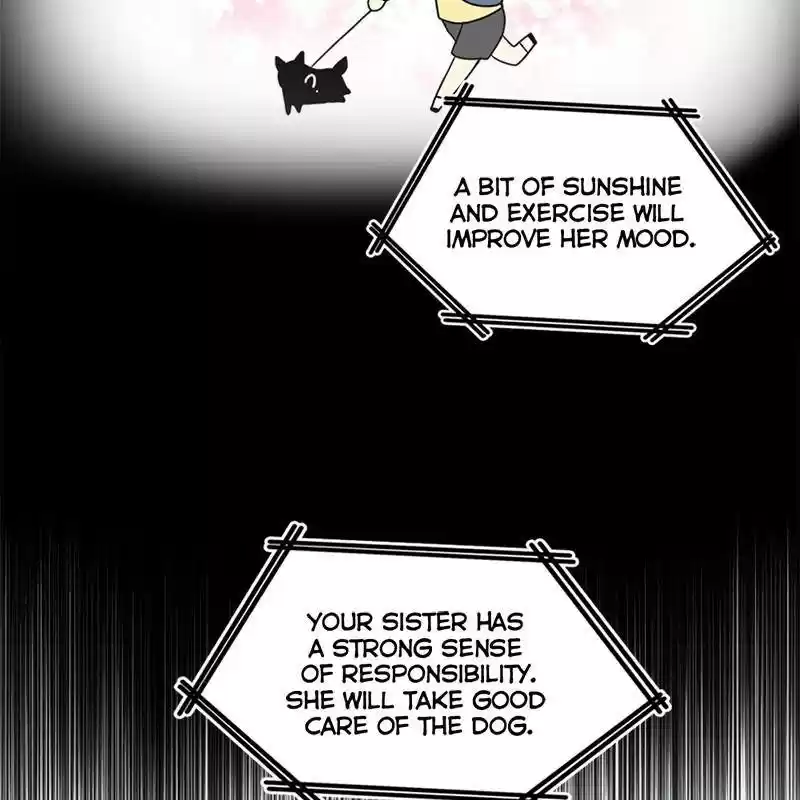 The Dog Diaries Chapter 1