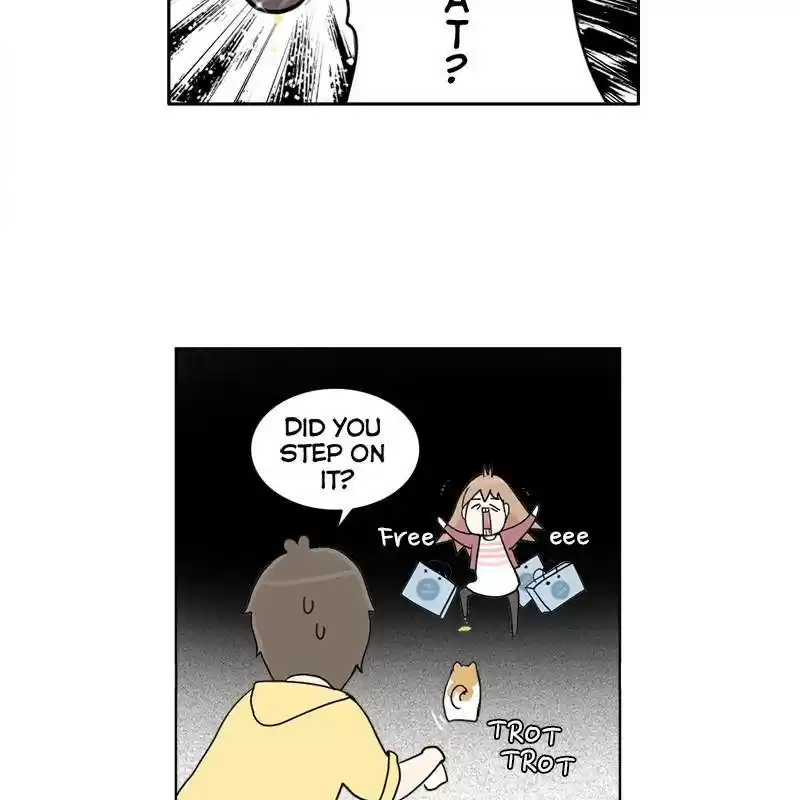 The Dog Diaries Chapter 1