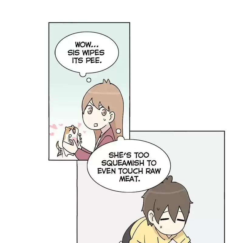 The Dog Diaries Chapter 1