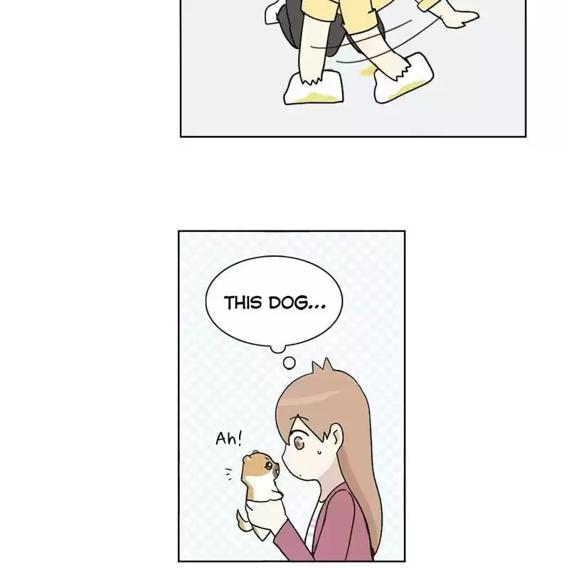 The Dog Diaries Chapter 1