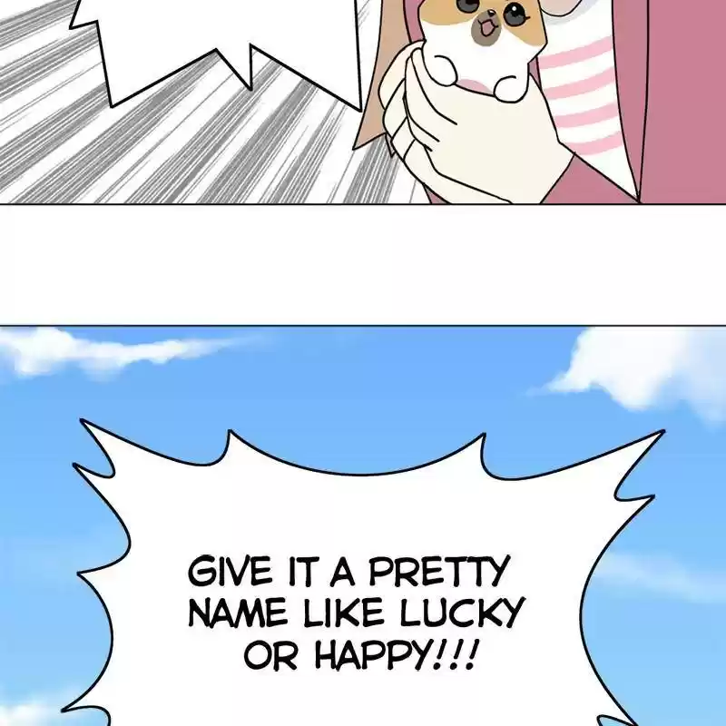 The Dog Diaries Chapter 1