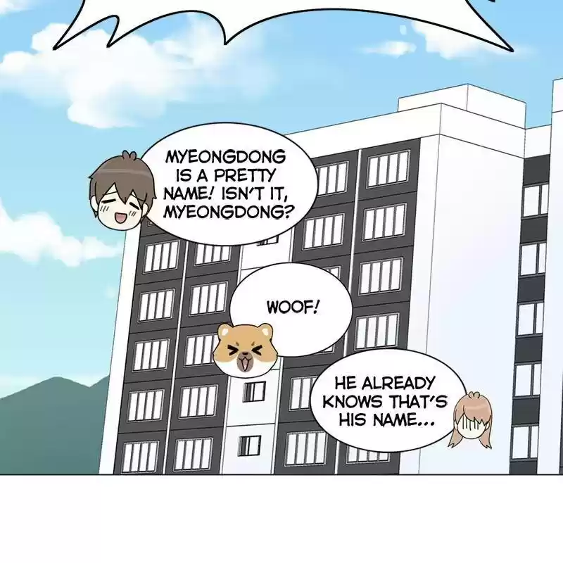 The Dog Diaries Chapter 1