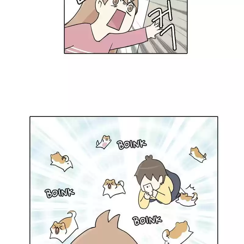 The Dog Diaries Chapter 1