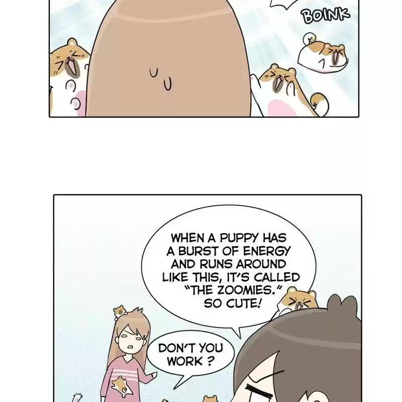 The Dog Diaries Chapter 1