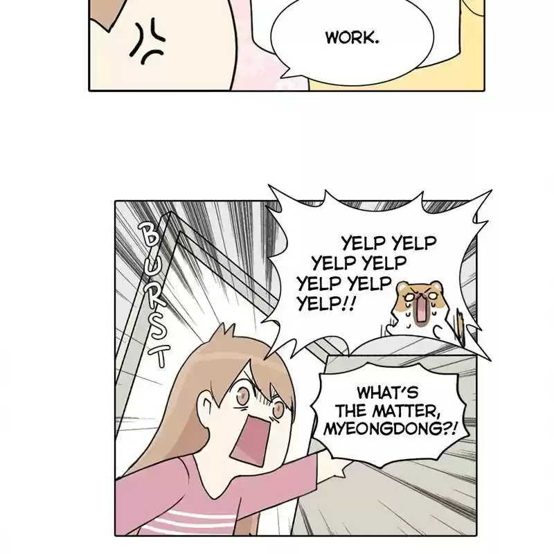 The Dog Diaries Chapter 1